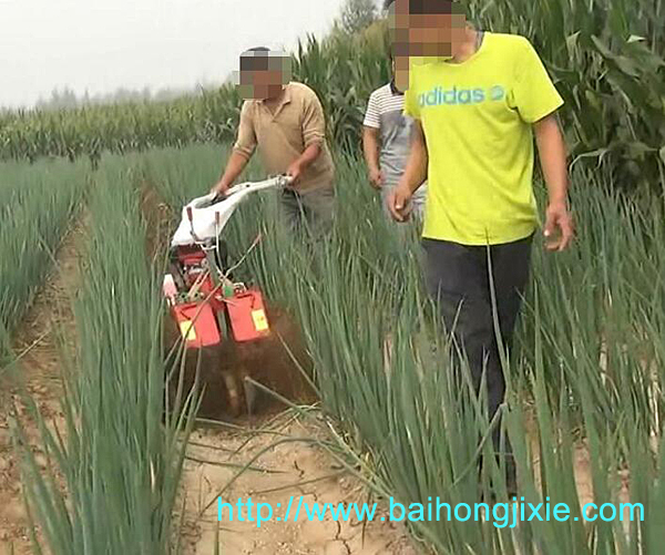 開溝葫芦娃污版下载在大蔥地中的應用
